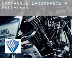 Compagnie d'assurance à  Ballylaan