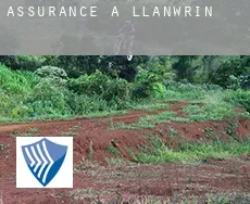 Assurance à  Llanwrin
