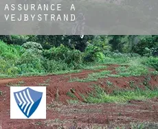 Assurance à Vejbystrand