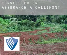 Conseiller en assurance à  Callimont