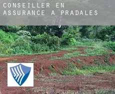 Conseiller en assurance à Pradales