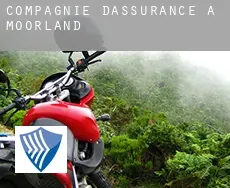 Compagnie d'assurance à Moorland