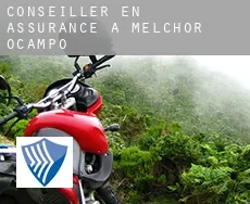 Conseiller en assurance à Melchor Ocampo