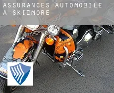 Assurances automobile à Skidmore