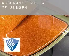 Assurance vie à Melsungen