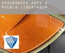 Assurances auto à Pueblo Libertador