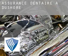 Assurance dentaire à  Dushore