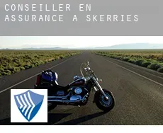 Conseiller en assurance à Skerries