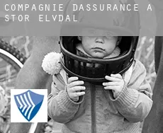 Compagnie d'assurance à  Stor-Elvdal