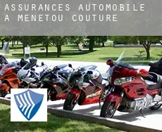 Assurances automobile à  Menetou-Couture