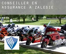 Conseiller en assurance à Zalesie