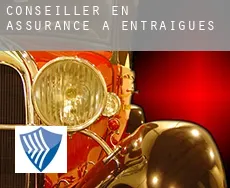 Conseiller en assurance à  Entraigues