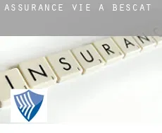 Assurance vie à Bescat