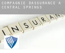 Compagnie d'assurance à  Central Springs