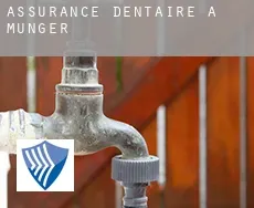 Assurance dentaire à  Munger