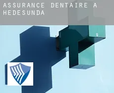 Assurance dentaire à Hedesunda