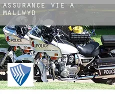 Assurance vie à Mallwyd