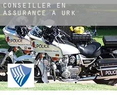 Conseiller en assurance à Urk