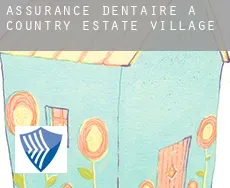 Assurance dentaire à Country Estate Village