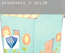 Assurance à Selim