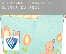 Assurances santé à Quinta do Anjo