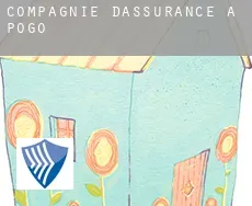 Compagnie d'assurance à Pogo