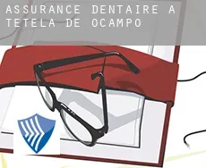 Assurance dentaire à  Tetela de Ocampo
